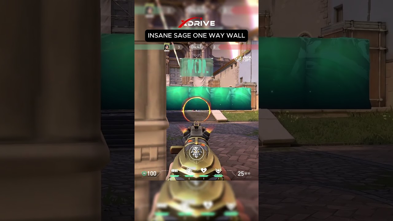 INSANE SAGE ONE WAY WALL