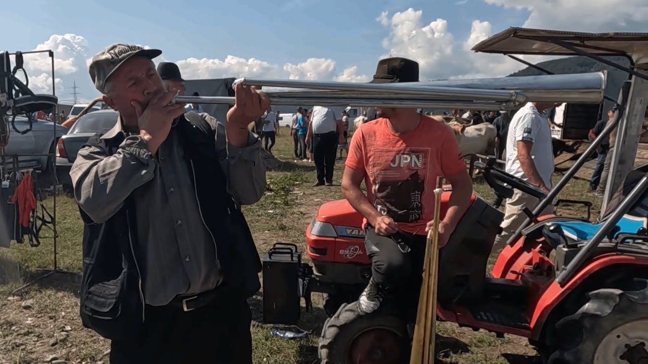 TARG DE TARA SIGHETU MARMATIEI, AUGUST 2024