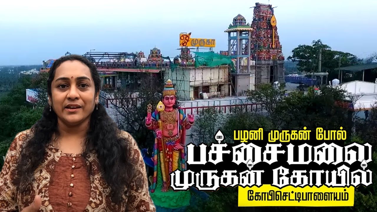 பழனி முருகன் போல் பச்சைமலை முருகன் கோயில் கோபிசெட்டிபாளையம் I Pachaimalai murugan Gobichettipalayam