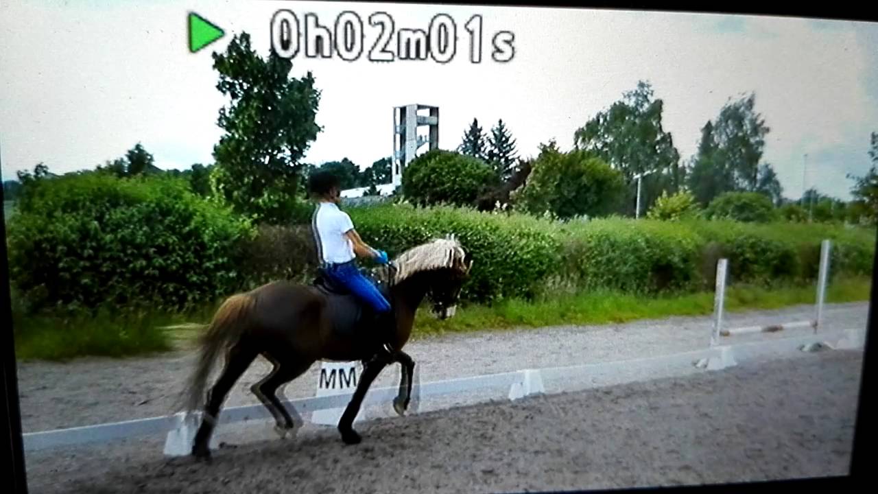 13. Juni 2016