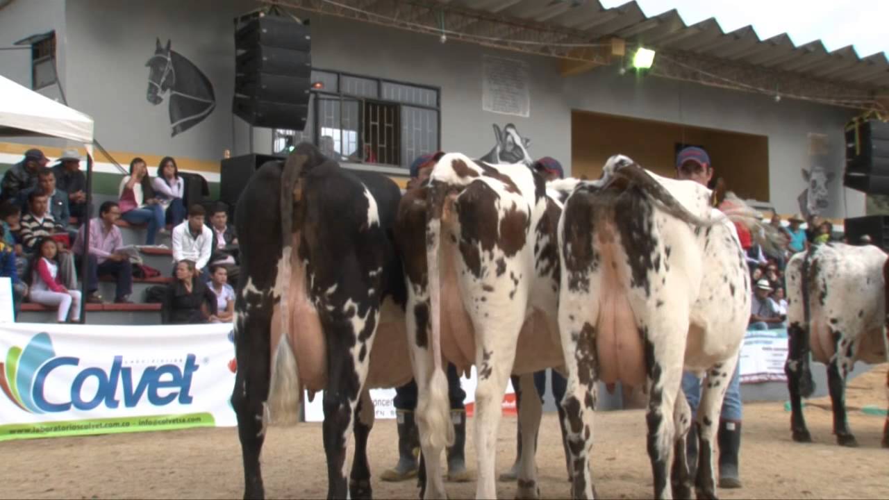 EMPRESARIOS DEL CAMPO ASONORMANDO 50° EXPOSICION NACIONAL BELEN - BOYACA 18/10/2014