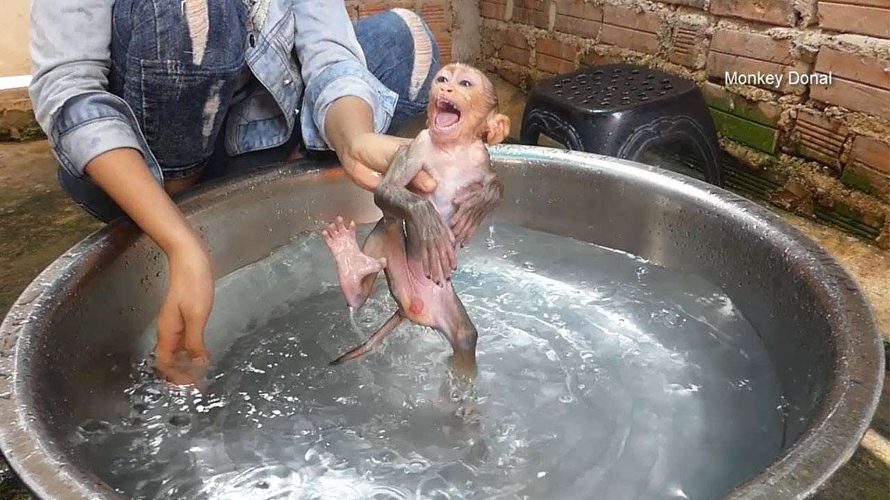 Cute Donal Cry Not Want Take Bath