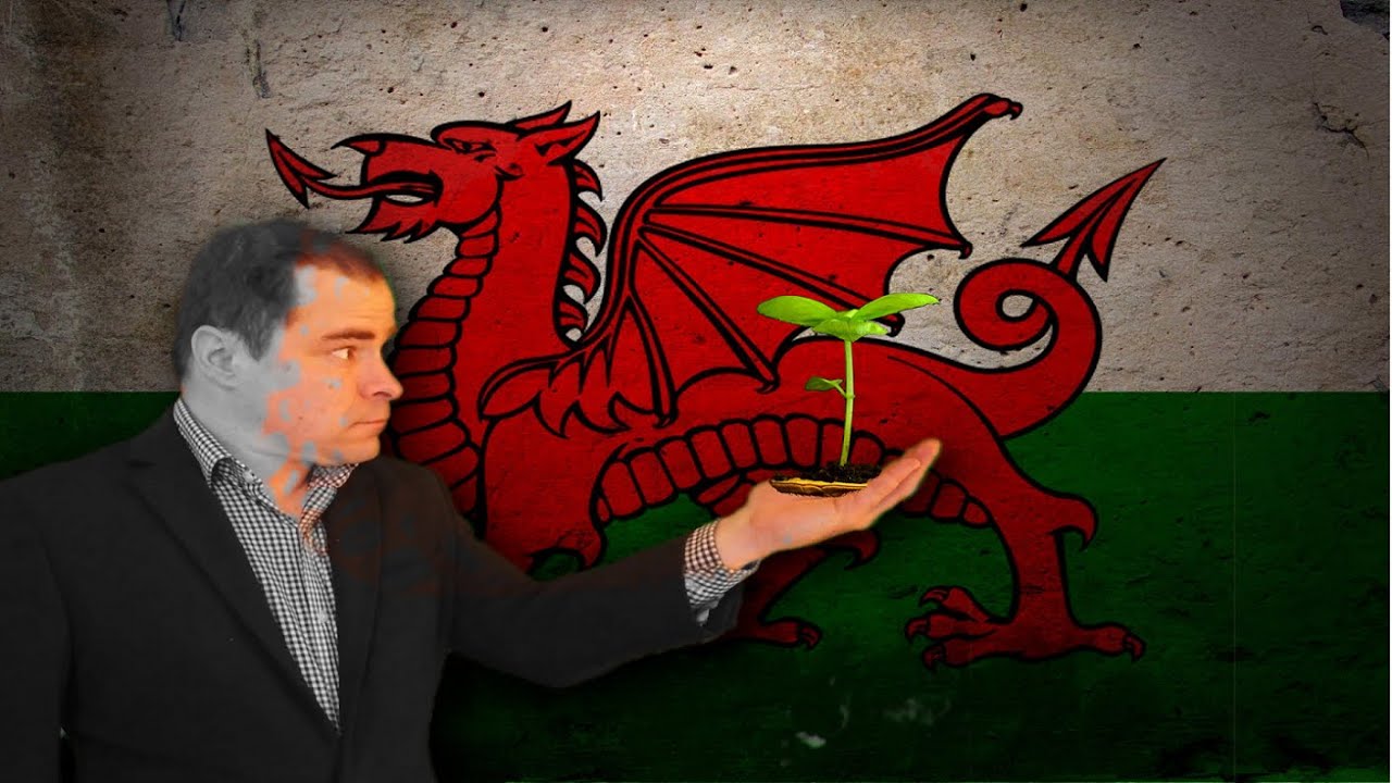What are the origins of Welsh Language words? Roots.