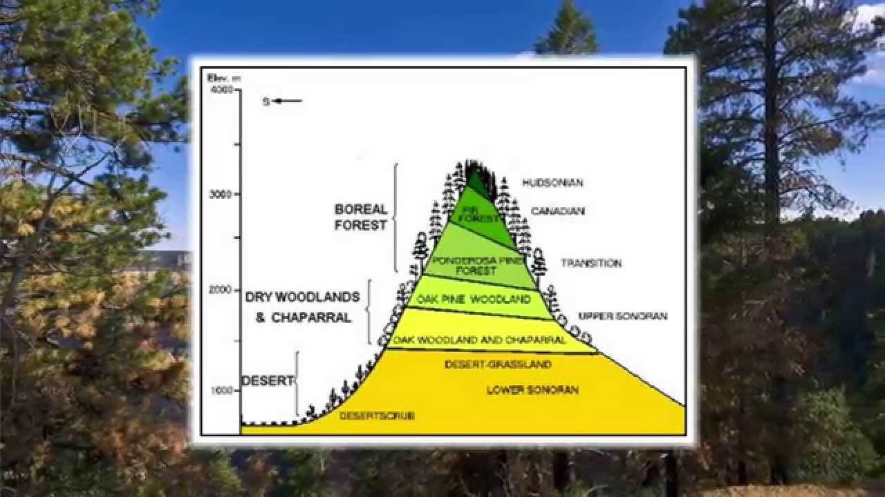 Panorama Near the Trailhead of the North Kaibab Trail
