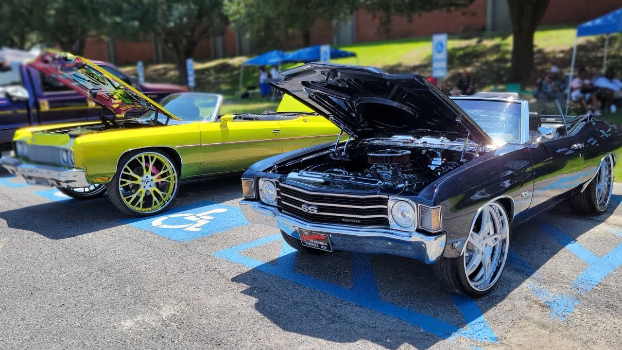 Alligators On Da Bayou Vol 4. #Lafayette #whips #carshow 