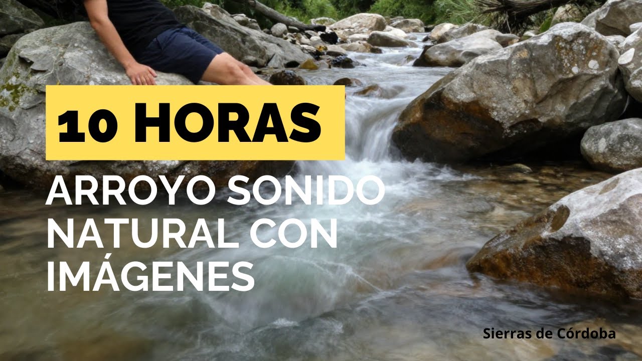 Sonido de Arroyo Suave 10 Horas | Relajación Natural para Descanso Profundo