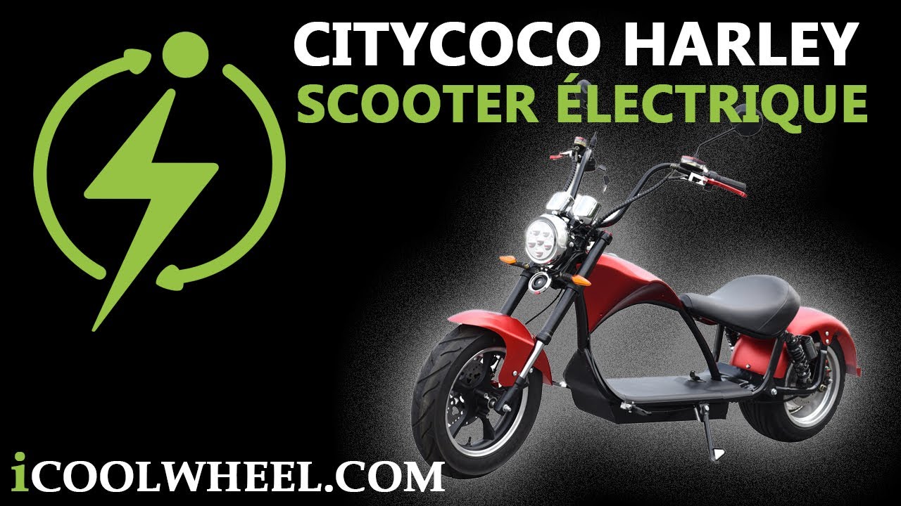 Citycoco Harley M1 • ICOOLWHEEL.COM