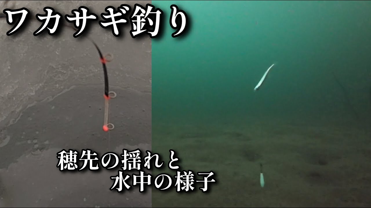 【ワカサギ釣り】水中ヒットシーン【桧原湖】