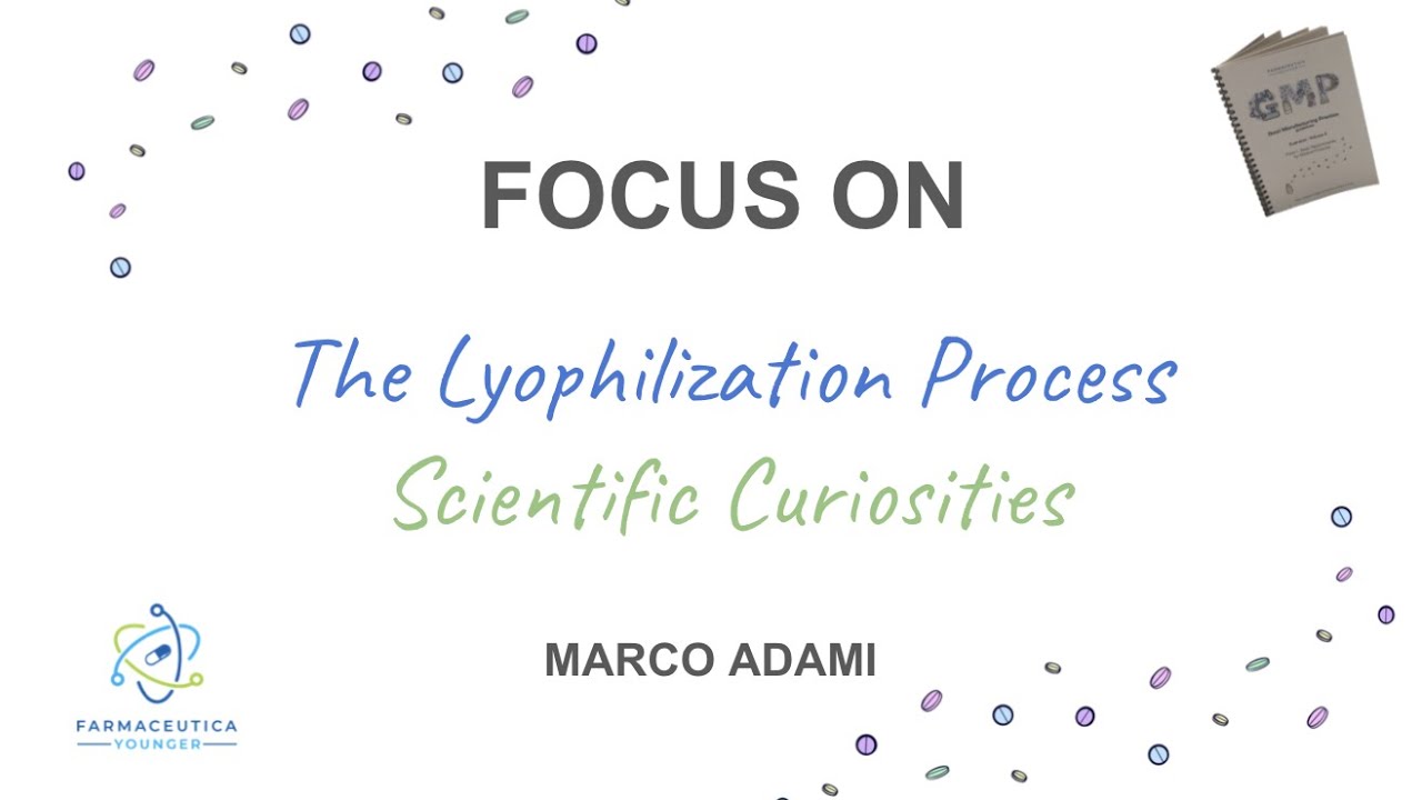 FOCUS ON 