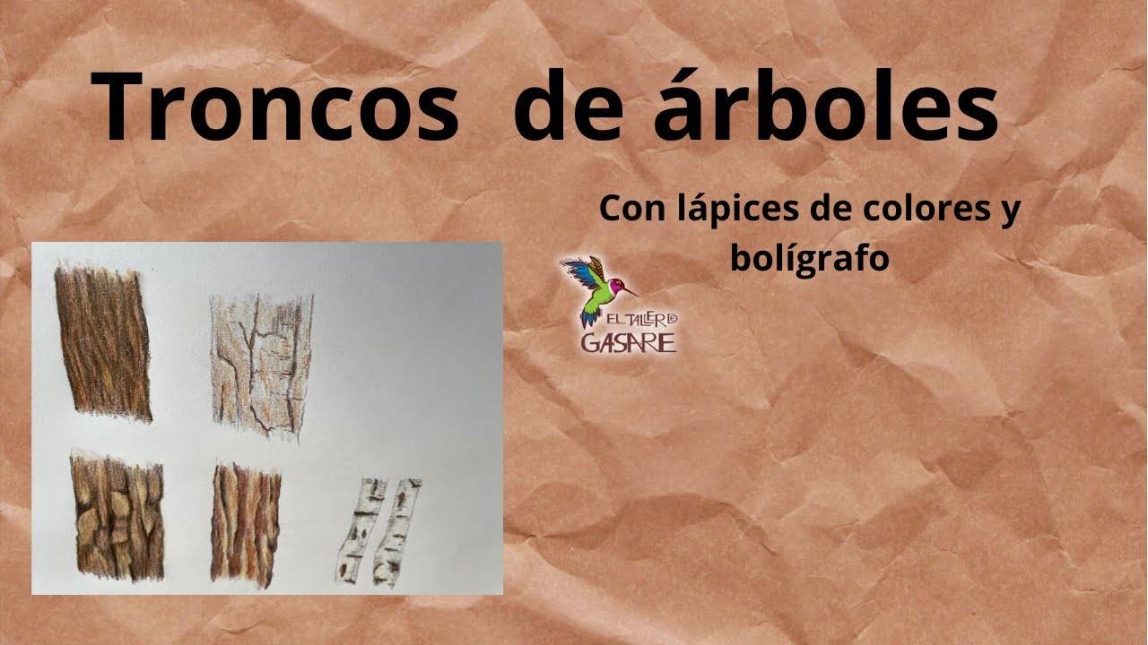 Dibujar y colorear troncos de árboles.