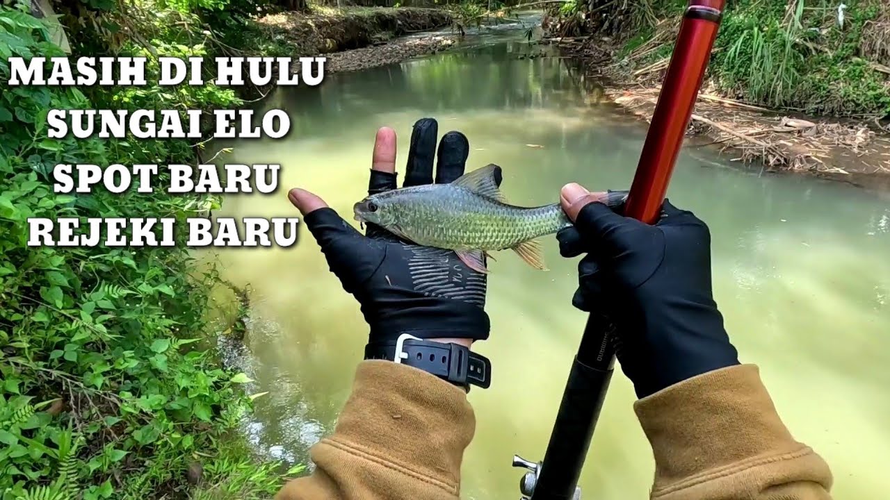 PERUBAHAN TITIK BOM UKURAN NILEMNYA BERUBAH JADI BESAR ‼️ MANCING NILEM DI HULU SUNGAI ELO #mancing