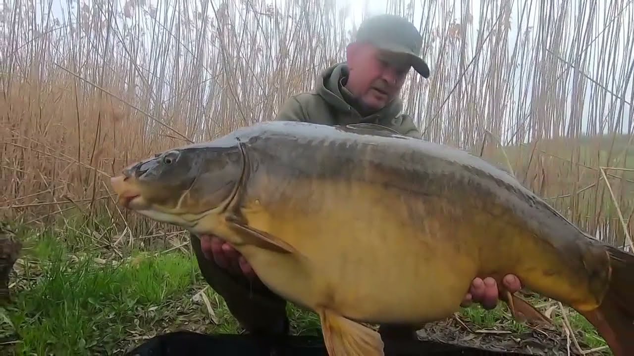 Sonik VaderX RS Carp bojlis bot