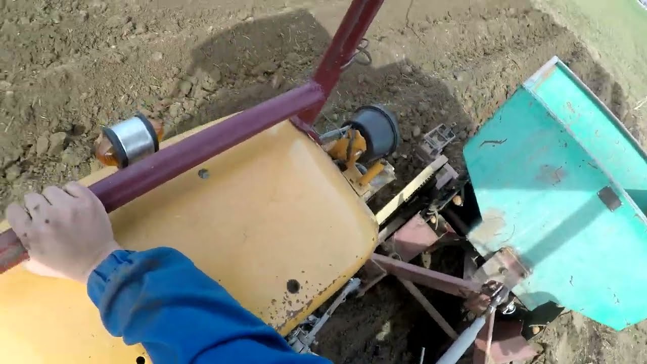 Akcja sadzenie ziemniaków ursusem c 330 II Dzień Z Życia #6