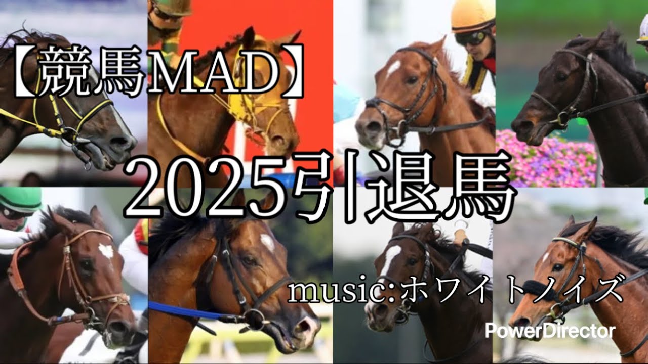 【競馬MAD】2025引退馬&times;ホワイトノイズ