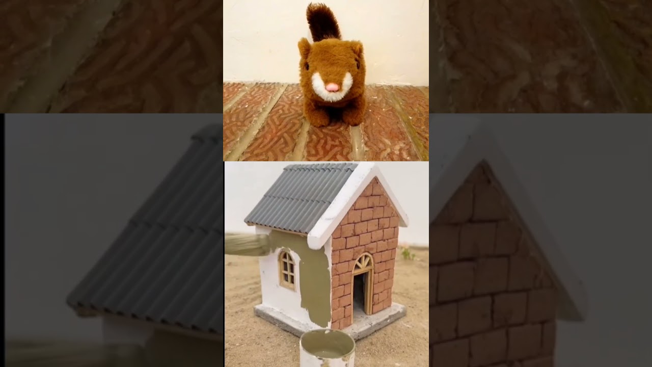 Squirrel reacts to house being built @Erimaldo_