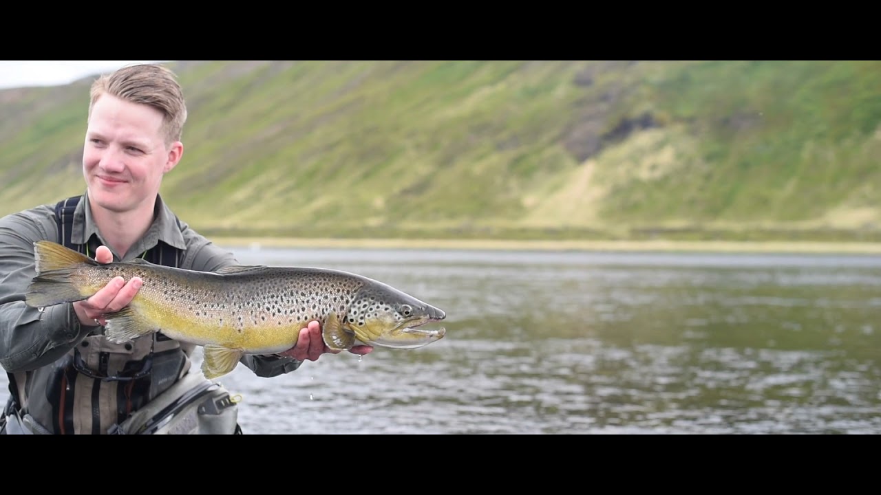 Laxardalur 2019 by @OrganicFly