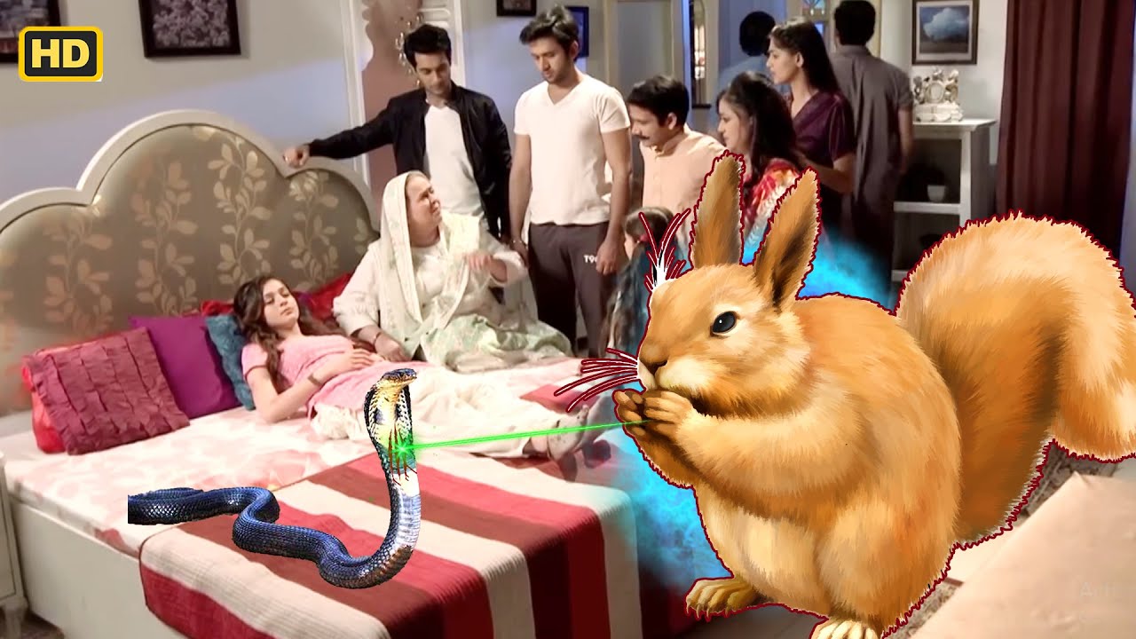 जंगली गिलहरी ने किया Naagin पे Attack | EP 108 | Icchapyaari Naagin | Naagin New Series 2024