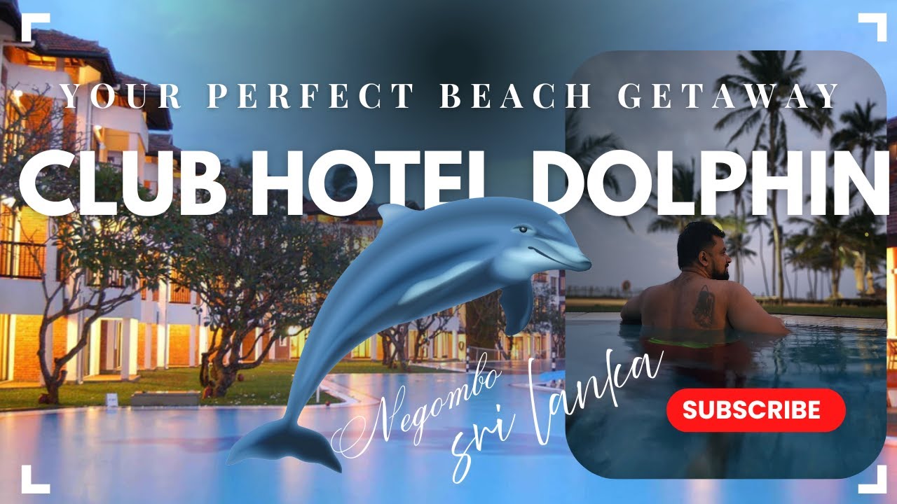 Club Dolphin Hotel | Negombo Sri Lanka | Hotel Review | මීගමුවෙ ලස්සන hotel එකක්