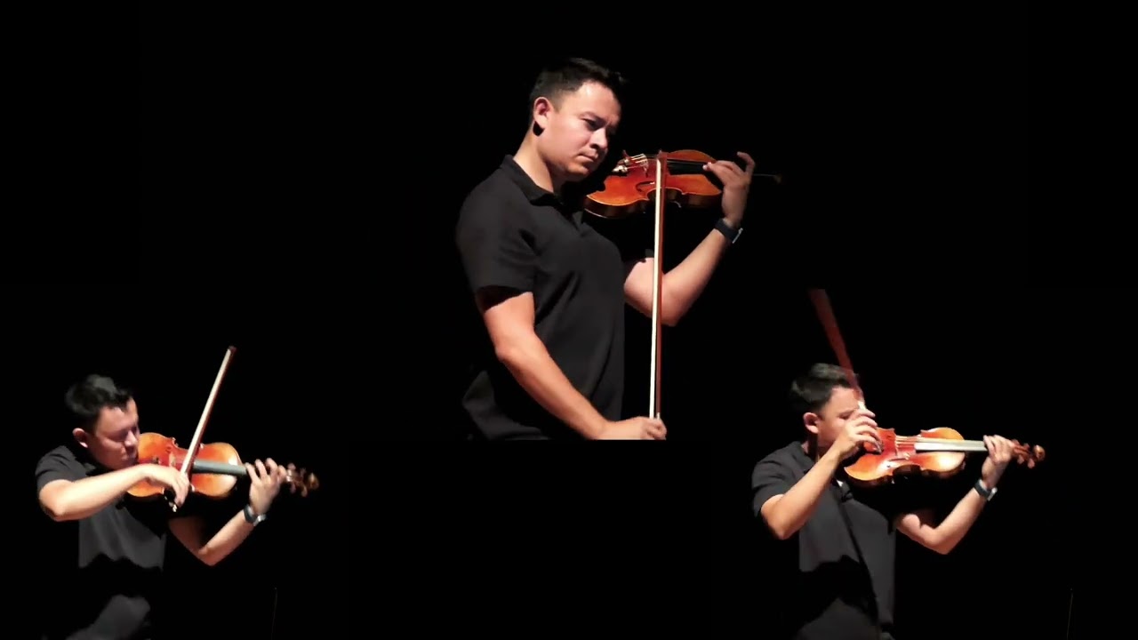 Give Me Everything - Stripped Violin Cover