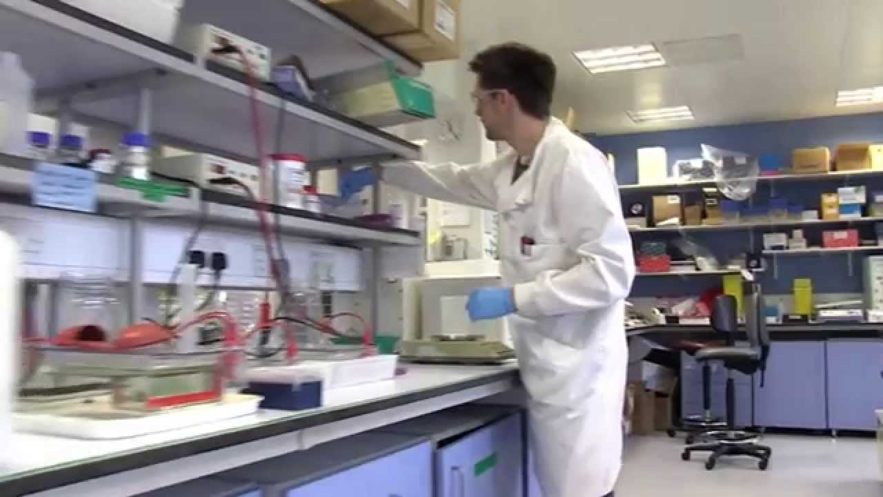 MRC Harwell: An Introduction