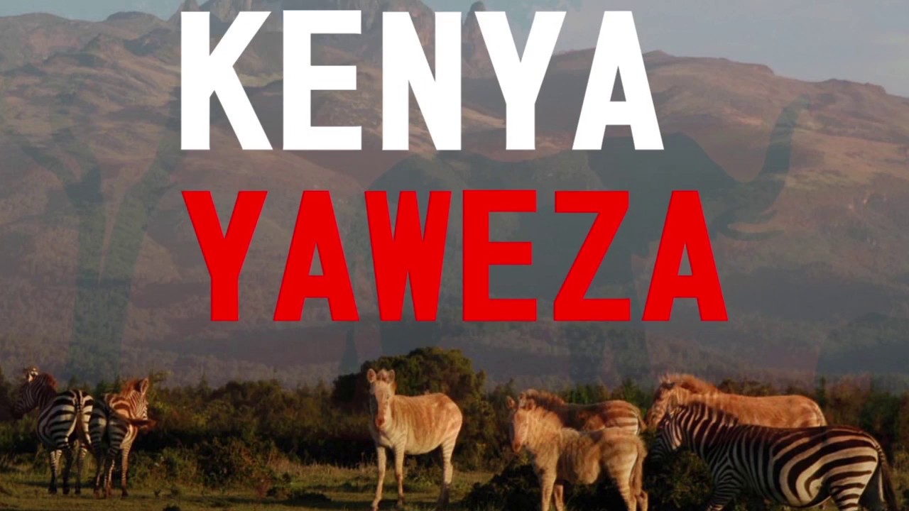 Kenya Oh Kenya - Lyrics video - www.delivery.go.ke - song -(Kenya Yaweza)