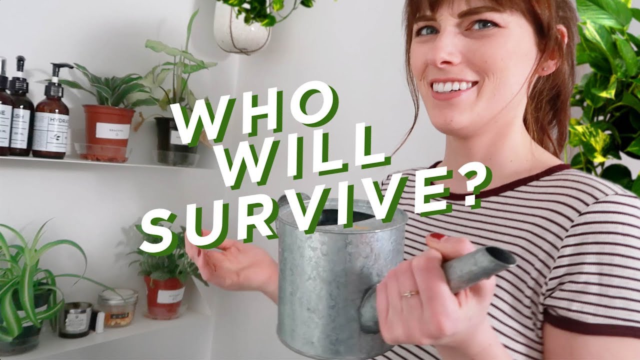 TESTING PLANTS THAT SURVIVE IN ZERO LIGHT!?