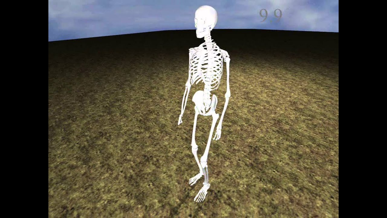 Human walking on hard terrain