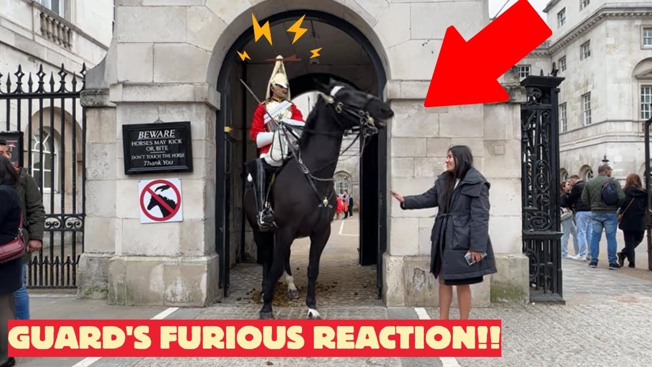 King's Guard Loses Patience as Tourist Breaks Rules – See the Horse Guard's Reaction!