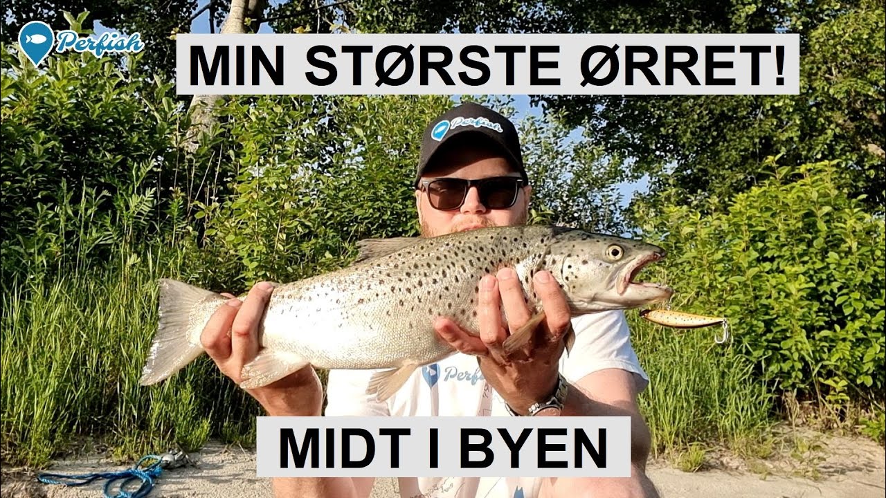 Byn&aelig;rt fiske kan ogs&aring; gi rekkorder! Perfish fiskeblogg     | Kanotur | &Oslash;rret | Glomma | Fiskeplass