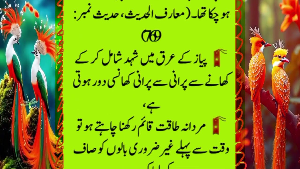 Quotes About Life Urdu / Rumi Quotes | Sunhary Haroof/ Golden Words / Hikmat ki batain | 