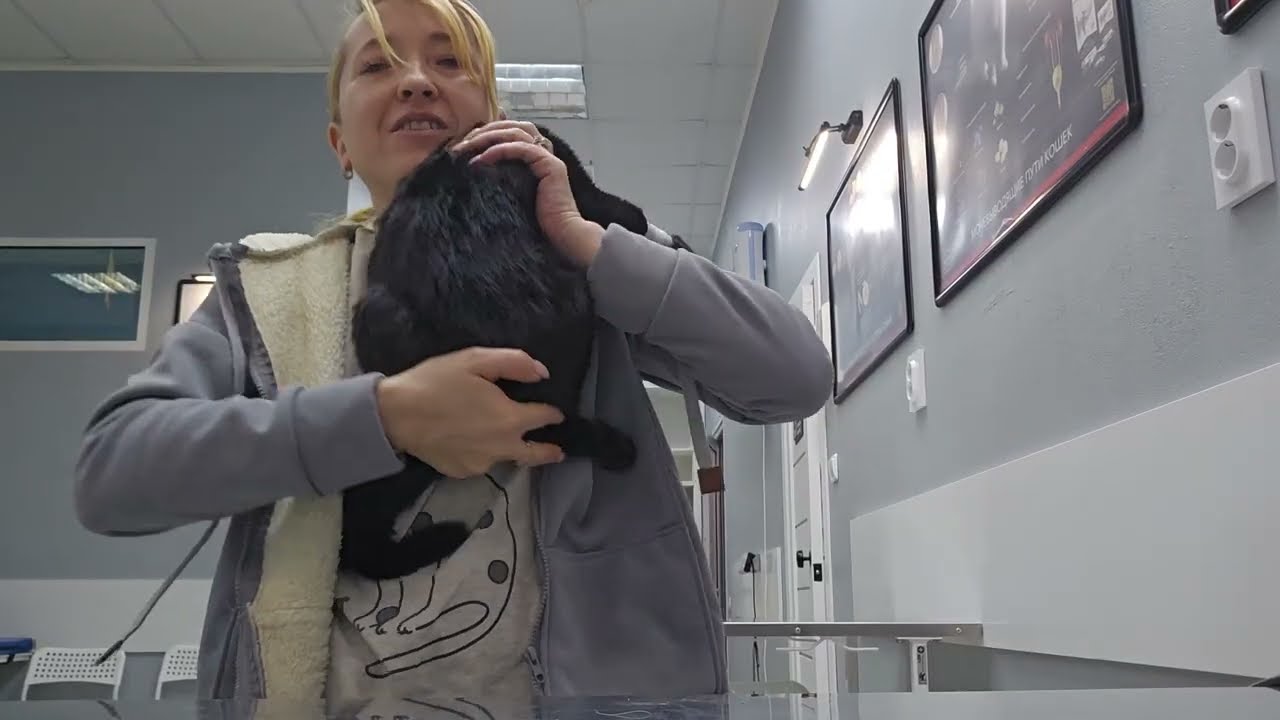 Каждый день  и  в одно время