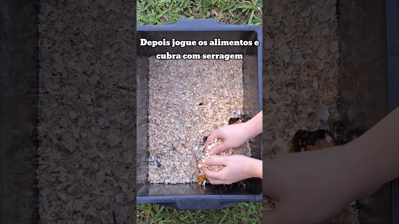 Como fazer uma composteira! - Ambiental Limpeza Urbana e Saneamento