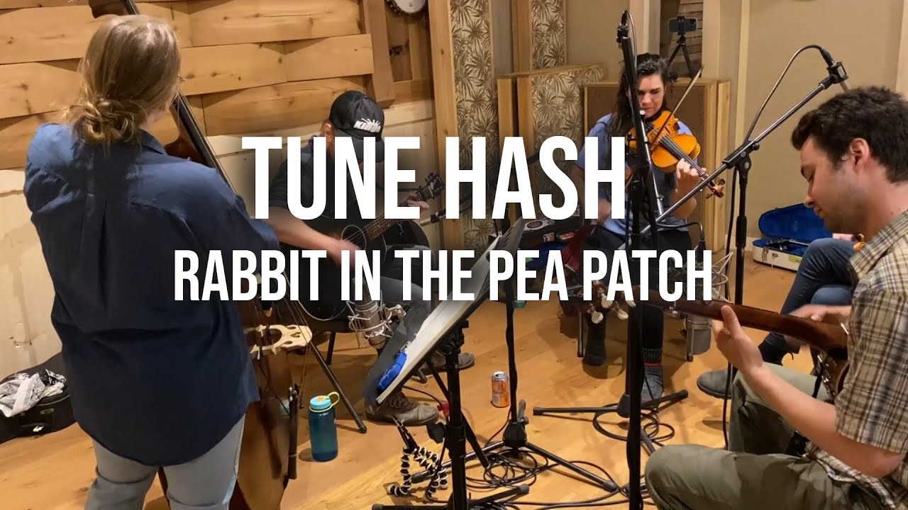 TUNE HASH - Rabbit In The Pea Patch