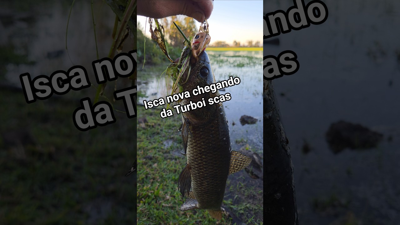 Como &eacute; o lan&ccedil;amento novo da Turbo iscas #pesca