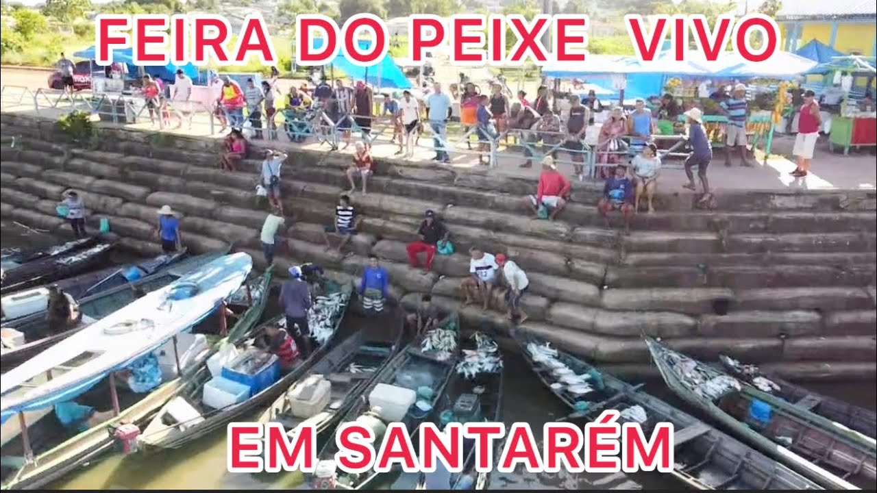 FEIRA DO PEIXE VIVO PORTO DOS MILAGRES EM SANTARÉM!