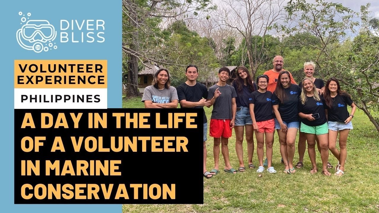 A day in the life of a volunteer in Marine Conservation Philippines, Zamboanguita