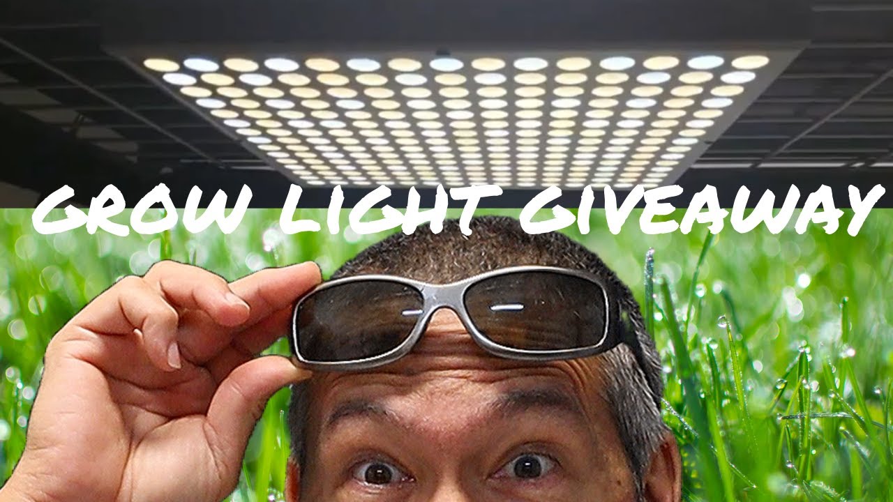 Grow Light Giveaway /Hidden Harvest Grow Lights Gives Away Two!🌿
