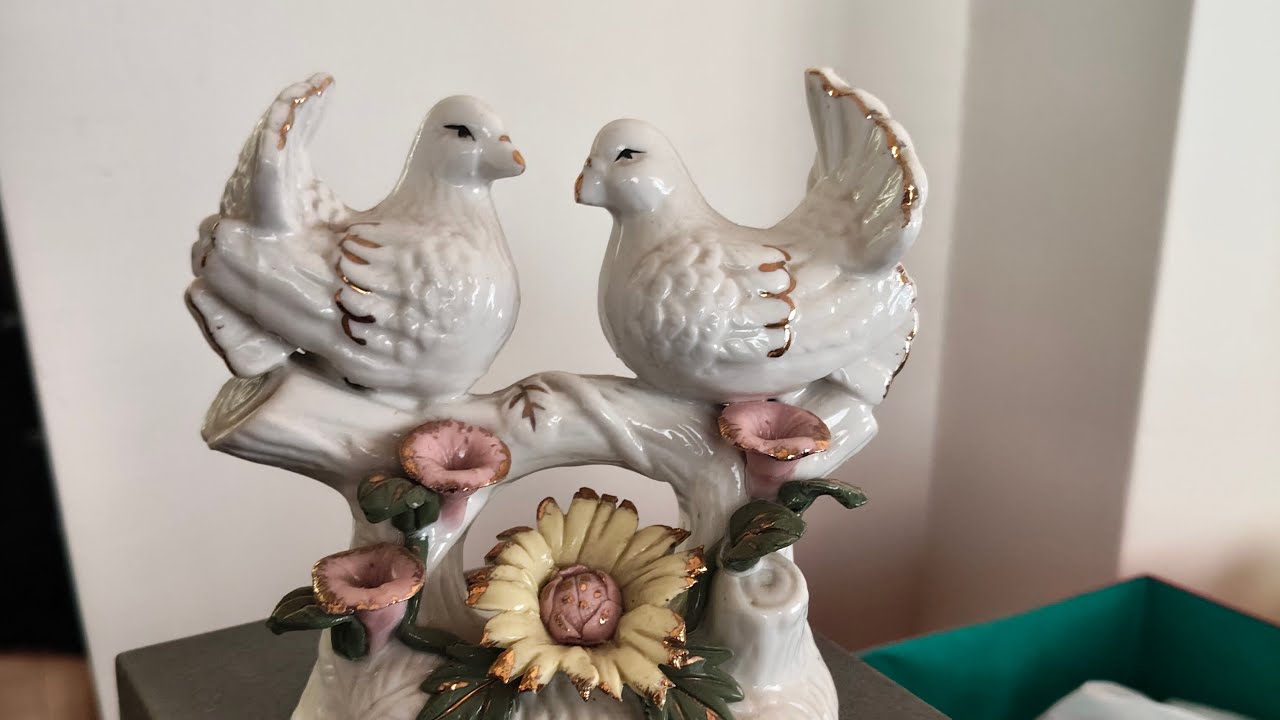 Emixed28 vlog is live! dove 🕊️ 🕊️ figuring