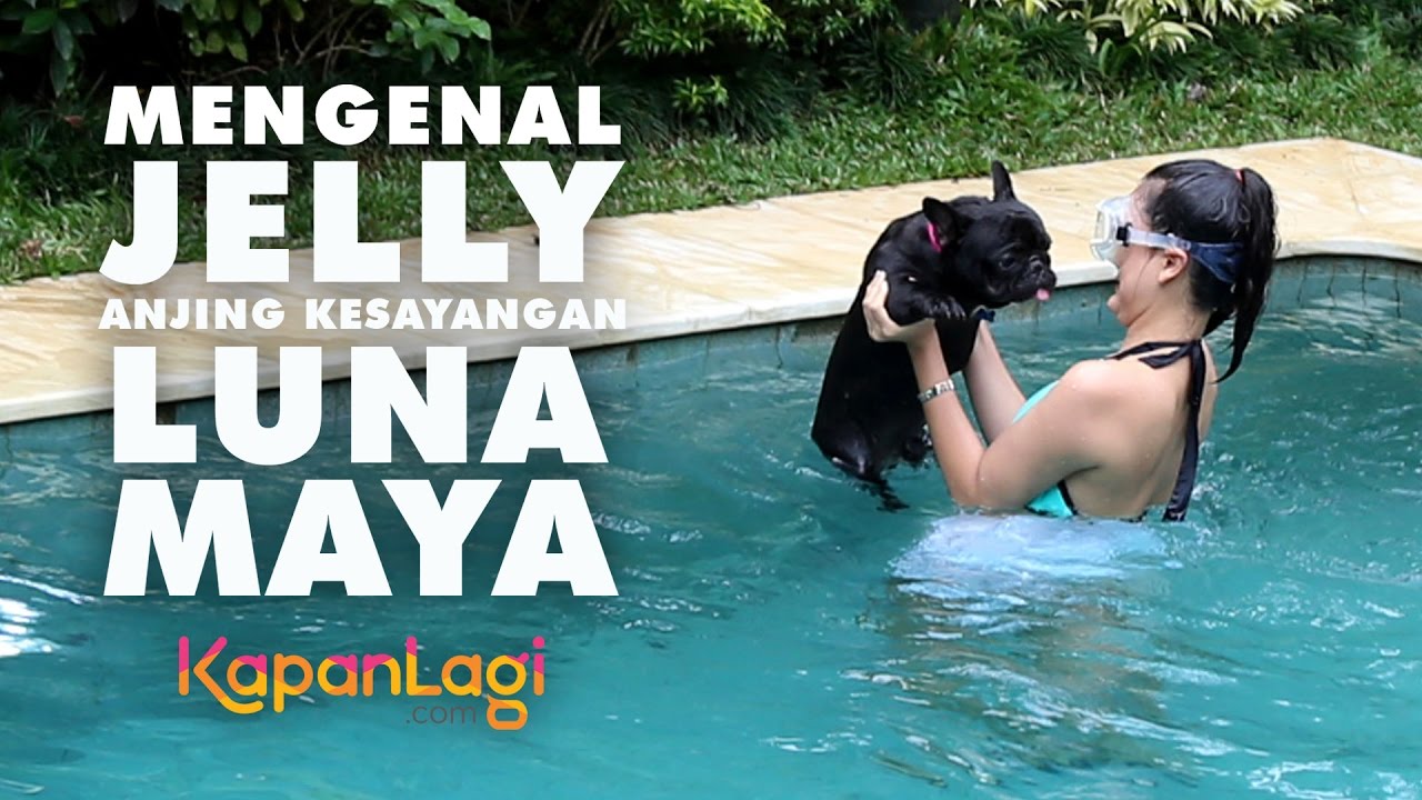 Luna Maya Berenang dan Mandikan Anjing Kesayangan, Jelly