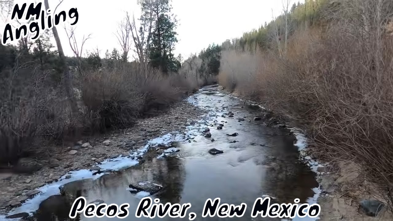 SHALLOW RIVER TROUT FISHING in NEW MEXICO