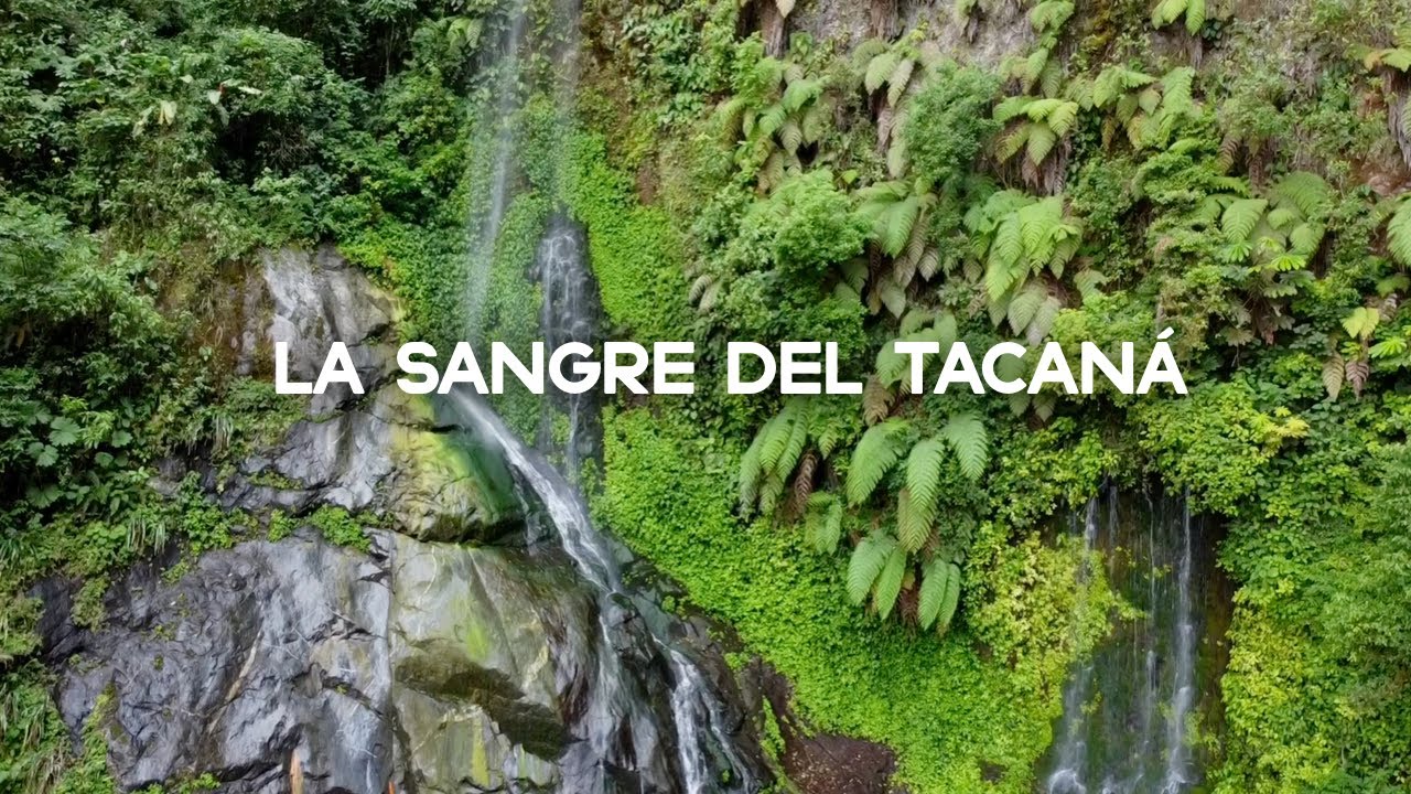 La cascada Sangre del Volcán Tacaná, el hogar del quetzal y el pavón - Chiapas.