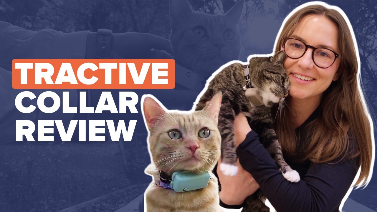Tractive CAT Mini GPS Tracker Review - Does It Really Work?