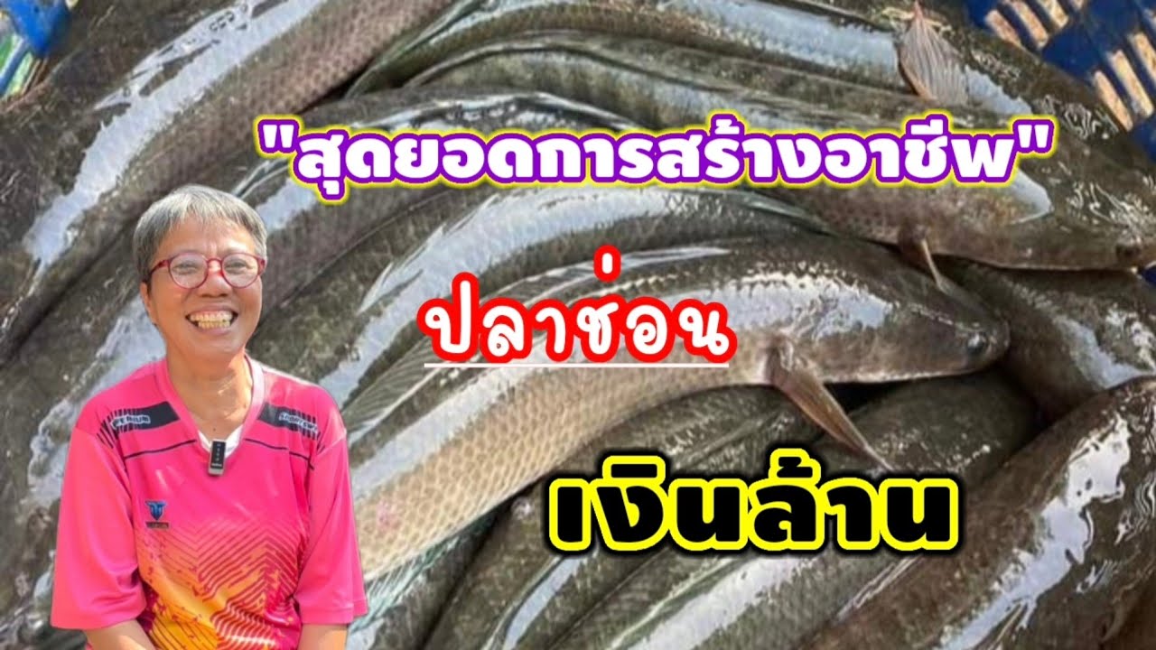 สุดยอดวิถีนักเลี้ยง 