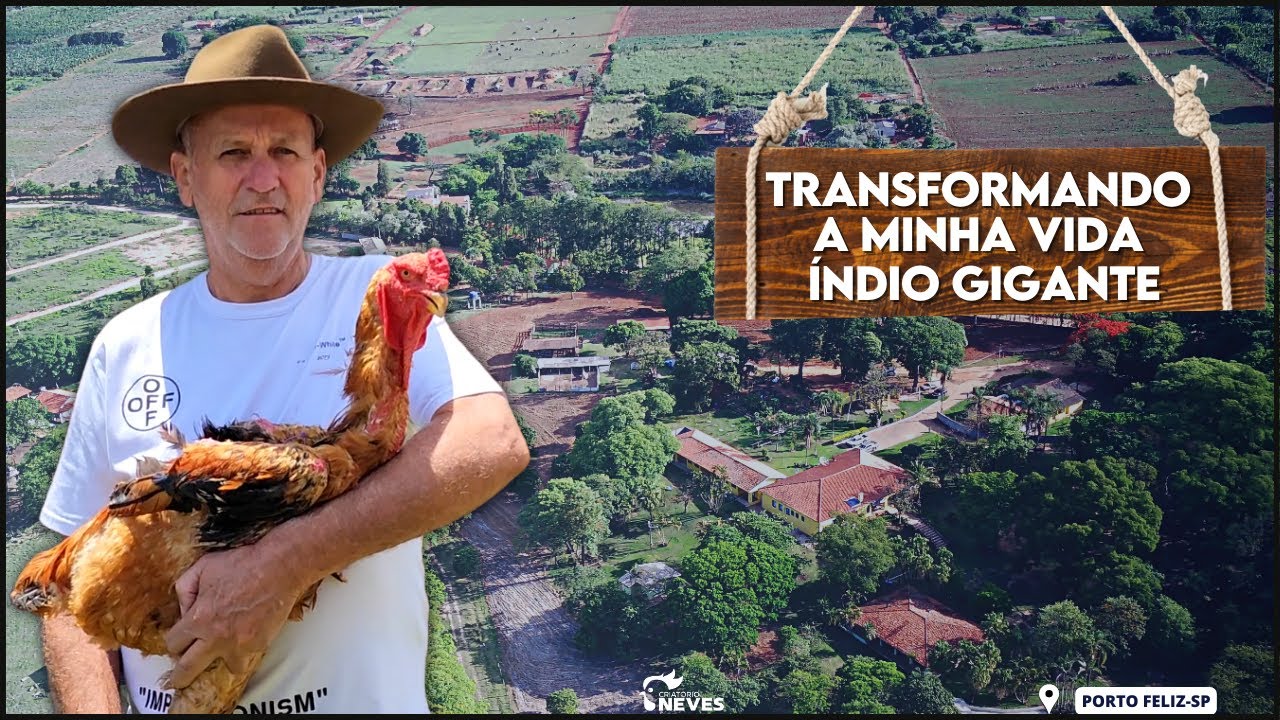 História de sucesso com a criação de ÍNDIO GIGANTE e sua influência na MINHA SAÚDE