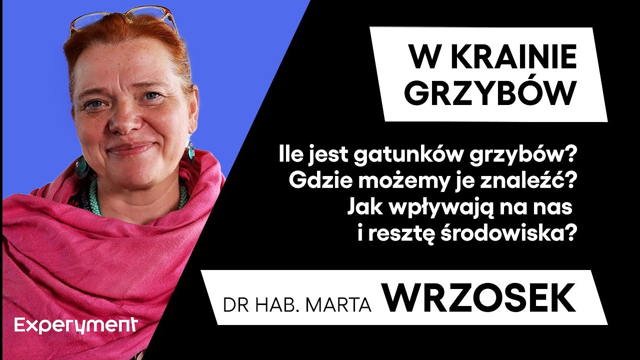 Marta Wrzosek. Grzyby pod lupą. Co naprawdę o nich wiemy? | SCIENCE CAFE 2.0