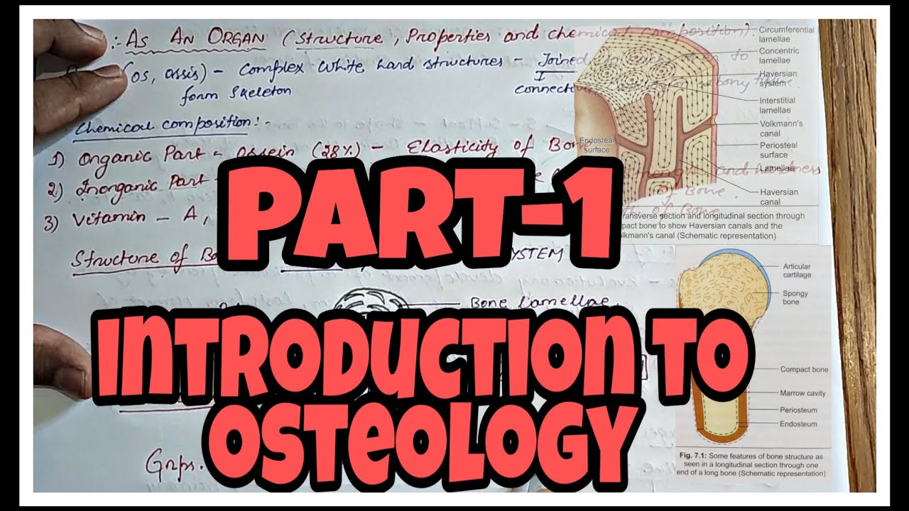 INTRODUCTION TO OSTEOLOGY || PART-1 OF PART 3 || what is osteology?? || what is BONE and OSTEON.