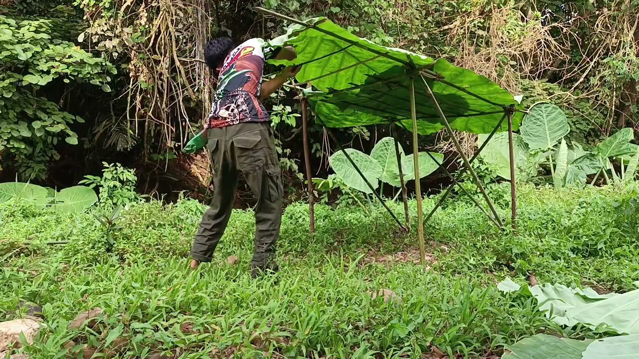 SOLO CAMP DAN BERBUKA PUASA DI HUTAN SUMATERA.