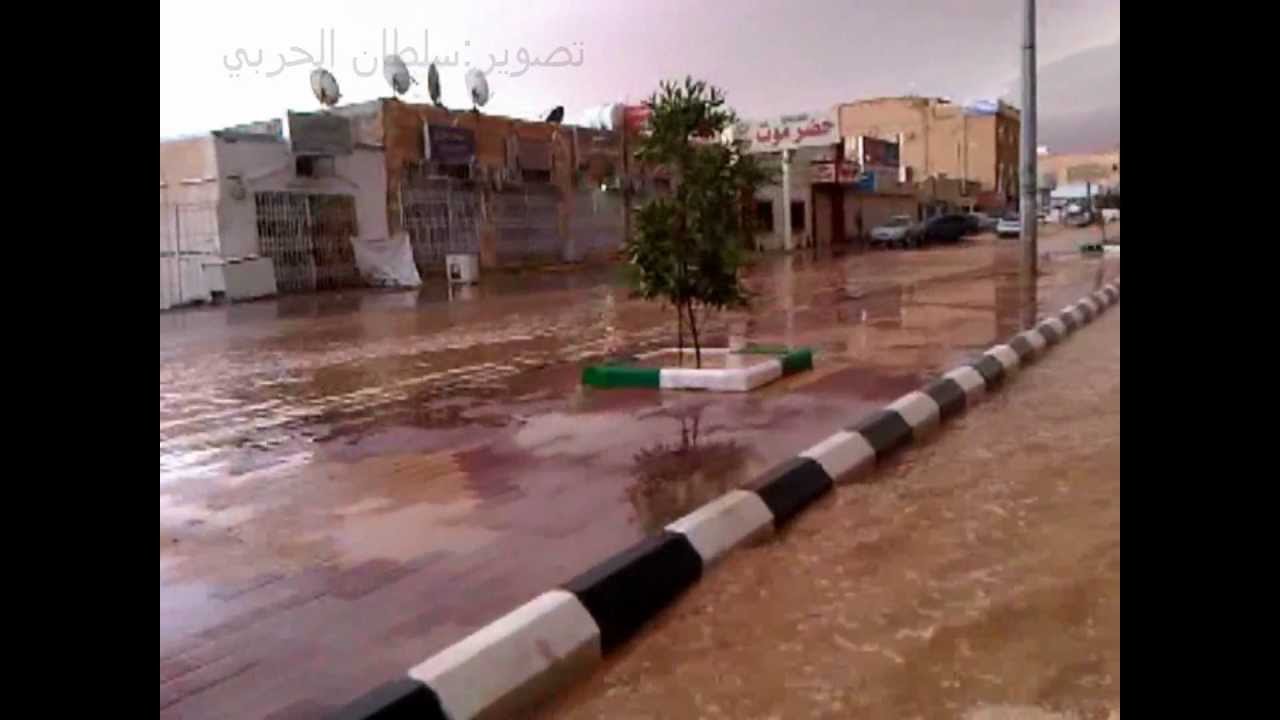 امطار الذيبية 1433
