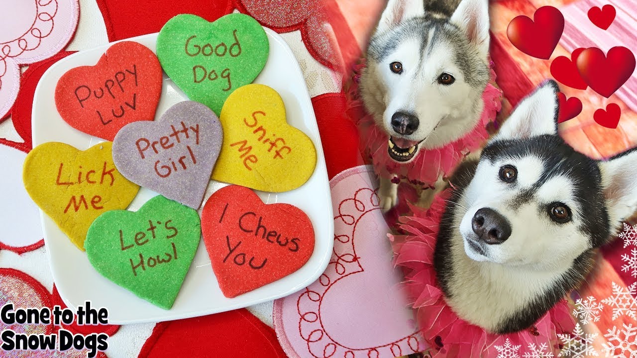 Valentine Conversation Hearts for Dogs | DIY Dog Treats 130 | Valentine's Day Dog Treats