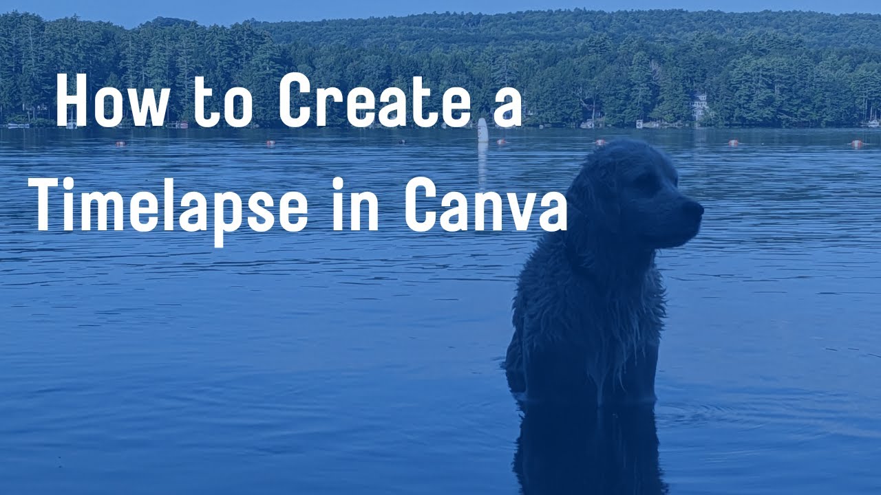 How to Create a Timelapse Video in Canva